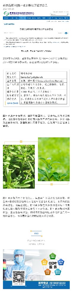 新食品原料|甜叶菊多酚公开征求意见